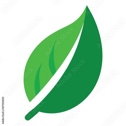 Green leaf ecology nature element vector icon isolated on white background eco concept