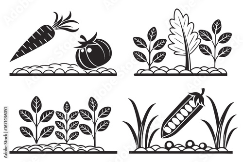 Garden Vegetables and Plants Growing in Soil.