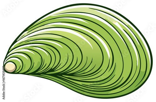 A stylized green mussel shell illustration with shiny details and concentric lines