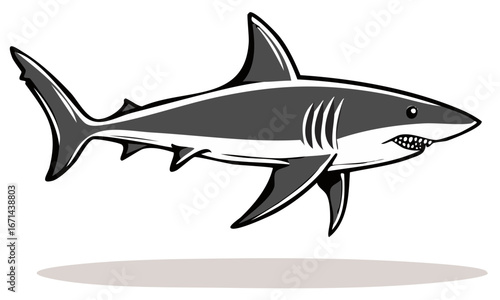 Cartoon shark illustration with sharp teeth isolated on white background