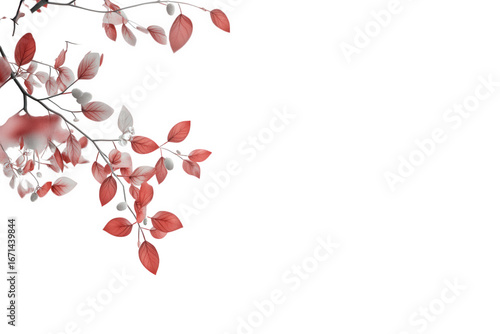 Wallpaper Mural Red autumn leaves on a branch, isolated on transparent background Torontodigital.ca