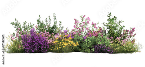 Colorful garden flowers and plants with purple, pink, and yellow blooms isolated on transparent background