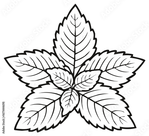 Simple black and white outline drawing of a cluster of fresh aromatic herb leaves.