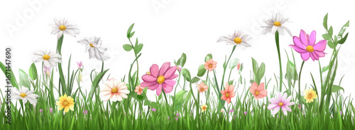 Assorted spring flowers and green grass isolated on transparent background