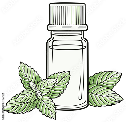 Bottle of clear liquid with fresh mint leaves and stylized illustration