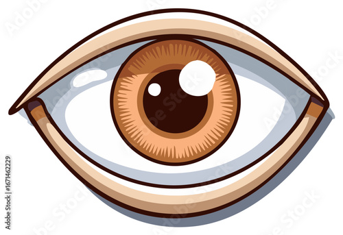 Brown human eye cartoon illustration depicting clear vision and bright perception