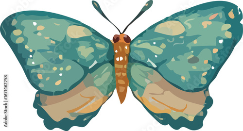 Butterfly vector illustration