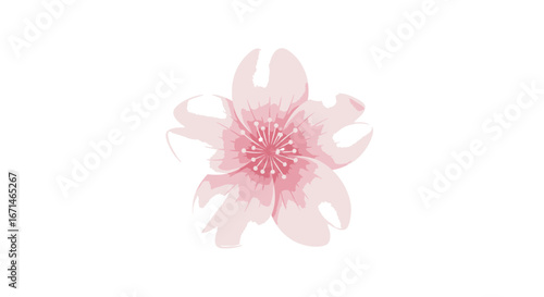 Delicate Watercolor Cherry Blossom A Soft and Elegant Floral Illustration for Spring Designs