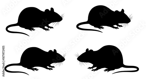 Four identical black rodent silhouettes facing left with long tails and pointed ears on a white background showcasing a simple graphic design