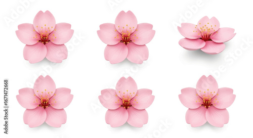 A beautiful collection of isolated pink cherry blossom flowers. Realistic 3D sakura illustrations perfect for spring and floral design elements