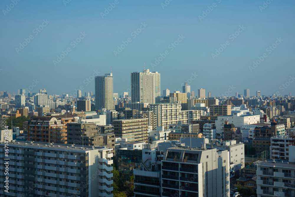 Fototapeta premium 夏の綺麗な青空と東京都の町並み