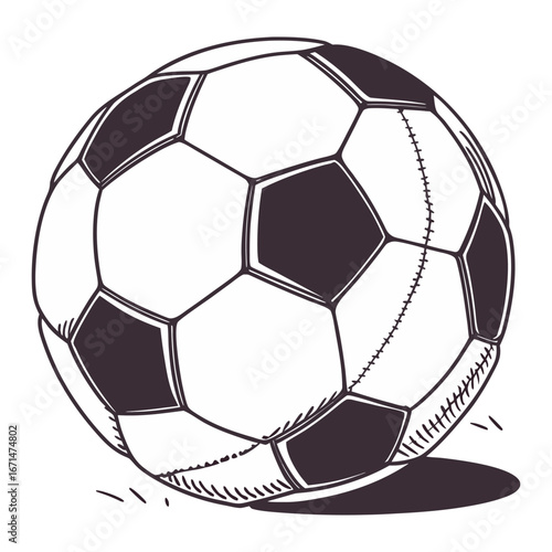 Vector Isolated Realistic Soccer Ball over white