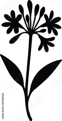 Illustrator Vector Allium flower botanical garden blossom vector silhouette