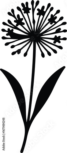Illustrator Vector Allium flower simple modern decorative silhouette
