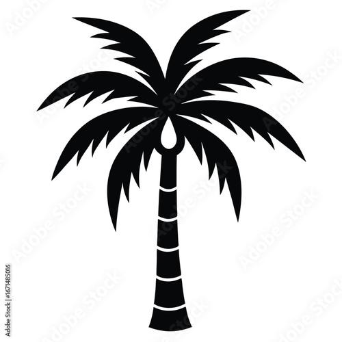silhouette of palm trees