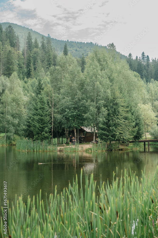 Fototapeta premium Serene Lakeside Scene with Lush Greenery and Forest Backdrop