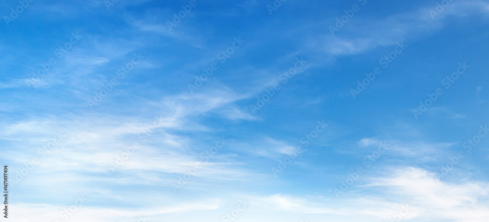 Fototapeta premium sky is blue and clear with clouds