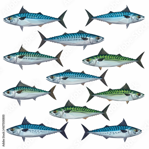 A school of twelve mackerel fish, depicted with detailed scales and distinctive wavy lines, swimming in a scattered formation against a white background.