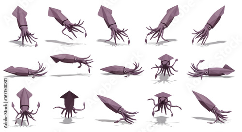 A collection of stylized illustrations showcasing various poses of a squid, isolated on white.