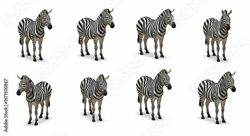 Eight zebras are arranged in a grid pattern against a white background, each standing in a slightly different pose.