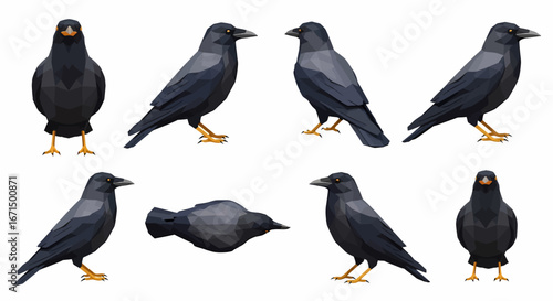 A collection of eight detailed illustrations of black crows, showcasing them from various angles and poses, including standing, profile, and lying down.