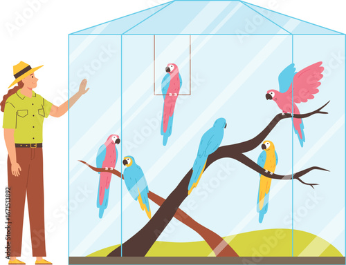 Zookeeper with colorful macaws in a large enclosure.