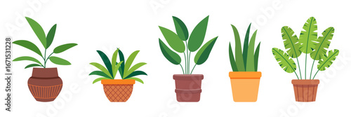 Group of green plants in flower pot. Simple flat vector design. Potted foliage for decoration of house, patio, balcony, veranda, terrace, garden, office, living room.
