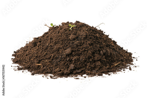 Pile of soil isolated on transparent background with small plant sprout