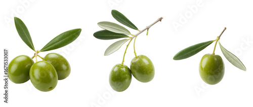 Wallpaper Mural Three olive branches with green olives isolated on transparent background Torontodigital.ca