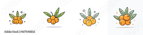 Sea Buckthorn vector icon collection with clean lines and modern minimal style.