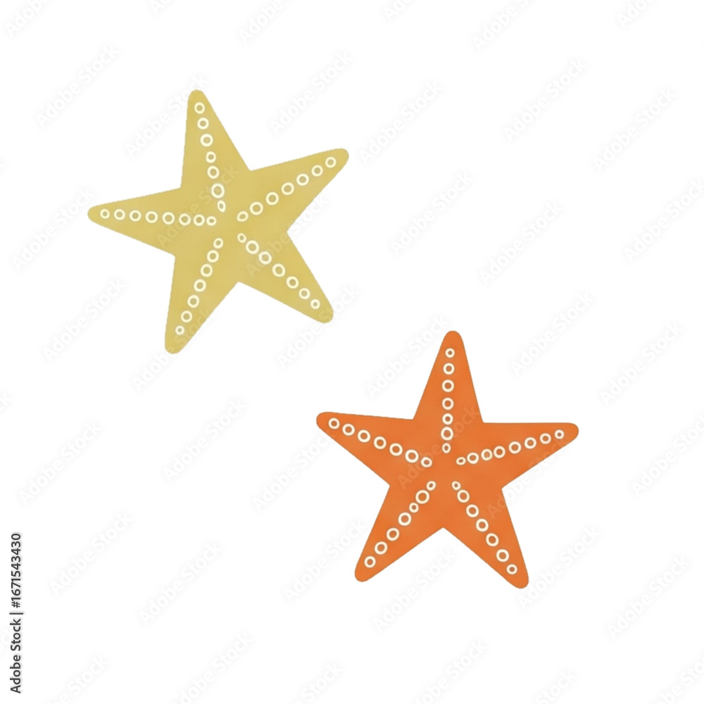starfish isolated on white background starfish isolated on white background