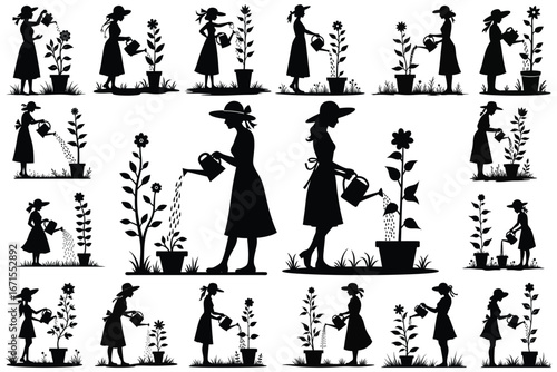 Black silhouette women watering potted plants woman