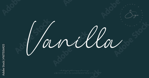 signature Font Calligraphy Logotype Script Brush Font Type Font lettering handwritten