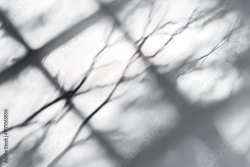 Abstract soft-focus blurry branches silhouette and window pane shadow on a pale background
