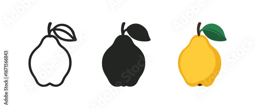 Simple quince trio: outline, silhouette, and colorful designs on white background