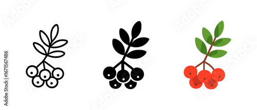 Rowan berries trio: outline, silhouette, and colorful designs