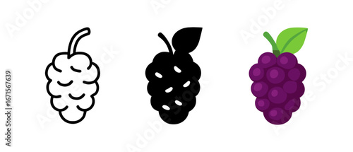Mulberry icons set: outline, solid, and colorful designs on white background
