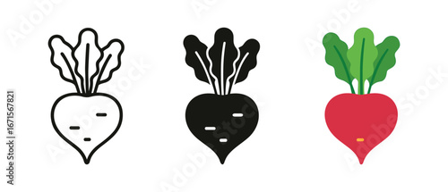 Colorful and minimalist beet root icons in line, solid, and flat styles