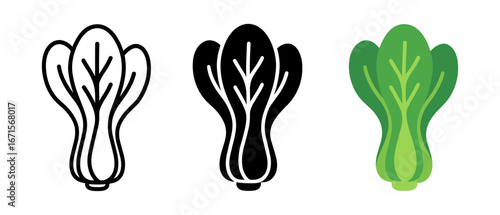 Stylized lettuce icon set: outline, silhouette, and color variations