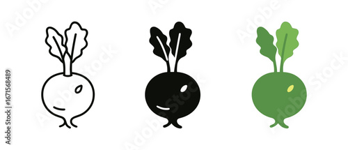 Colorful radish icons set: outline, silhouette, and colored styles for modern designs