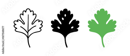 Set of simple flat herb leaves: outline, silhouette, and filled green parsley design