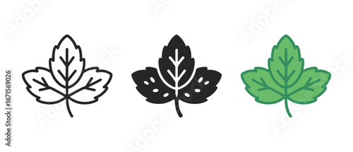 Outline, solid, and colored leaf designs for nature graphics and eco-friendly projects
