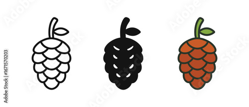 Set of three hops icons in outline, silhouette, and colored styles