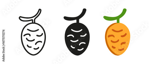 Colorful fruit icons set: outline, silhouette, and filled styles