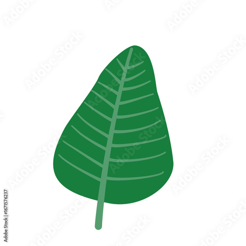 Large tropical green leaf vector illustration 