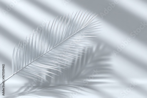 Palm frond in monochrome light
