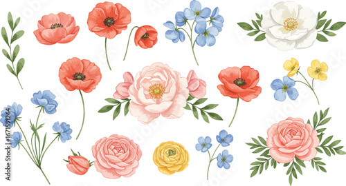 A colorful collection of flowers including roses poppies and forget me nots on white background on transparent background