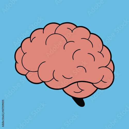 Human Brain Model Illustration