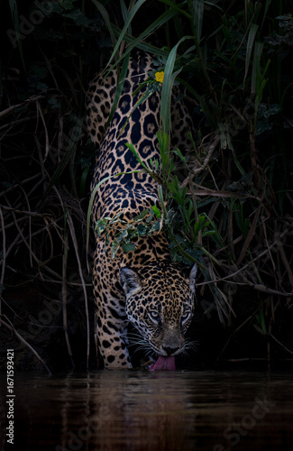 Thirst of the Spirit