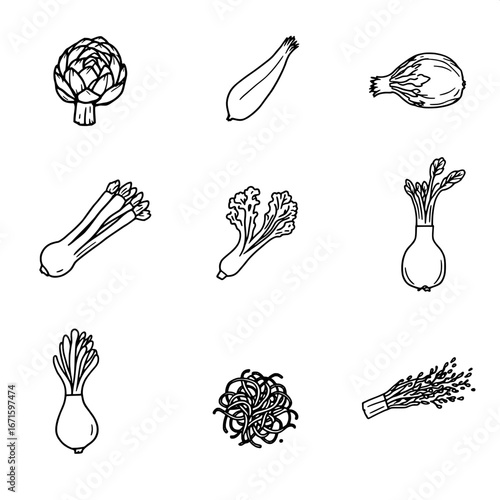 Unique black and white exotic vegetable line icons, minimalistic vector set for web and digital projects.